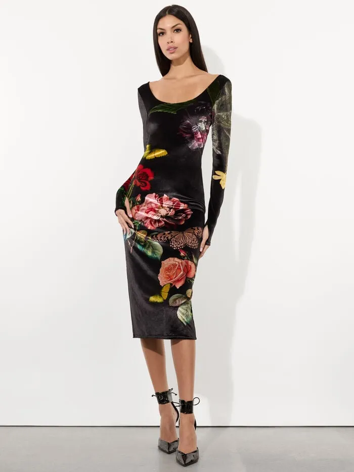 Alice Olivia DRESSES WOMEN DELORA VELVET MIDI DRESS In The Wind Floral