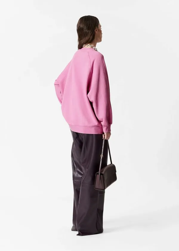 and Other Stories Oversized Sweatshirt Washed Pink Women Tops and Tshirts