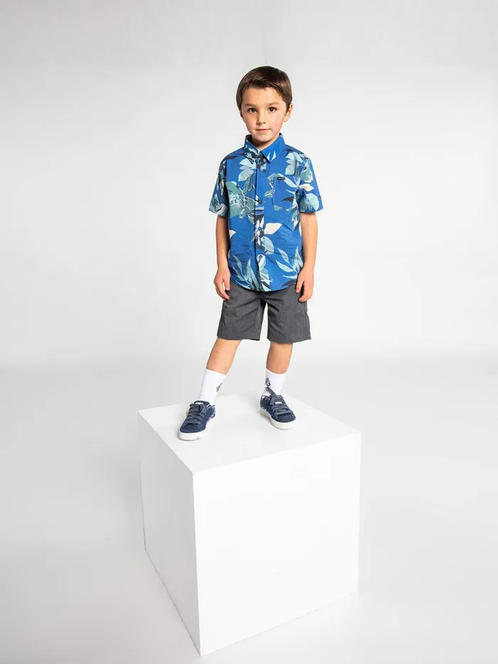 Boys Shorts Volcom Little Boys Frickin Chino Shorts 8211 Charcoal Heather