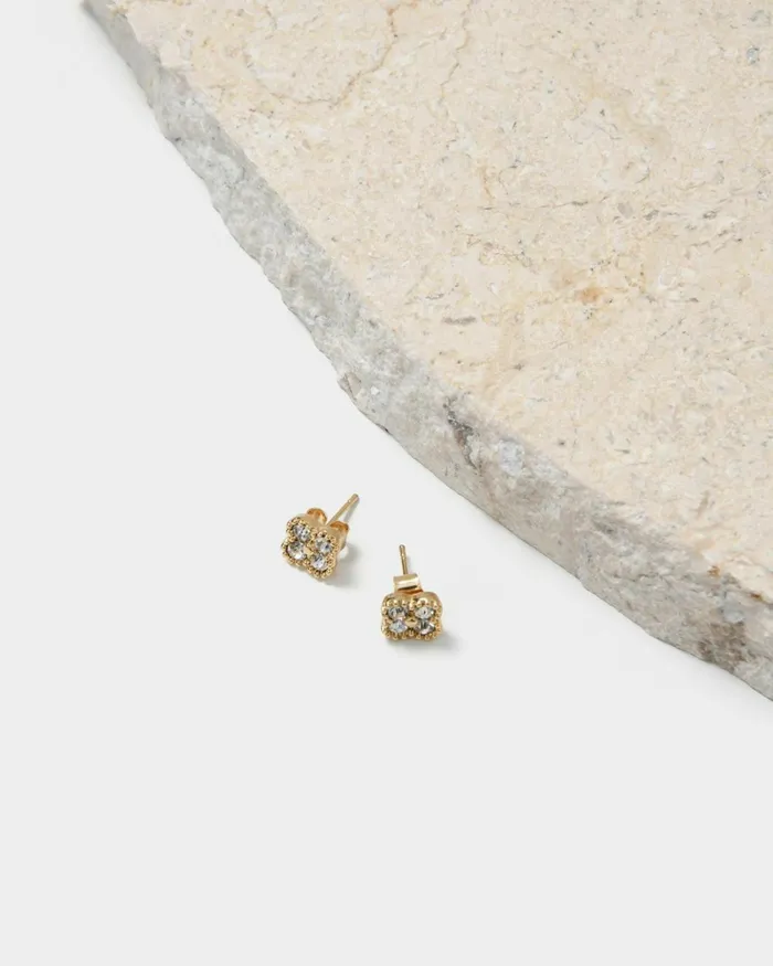 Forcast Adriana Gold Plated Earrings Gold Women Earrings