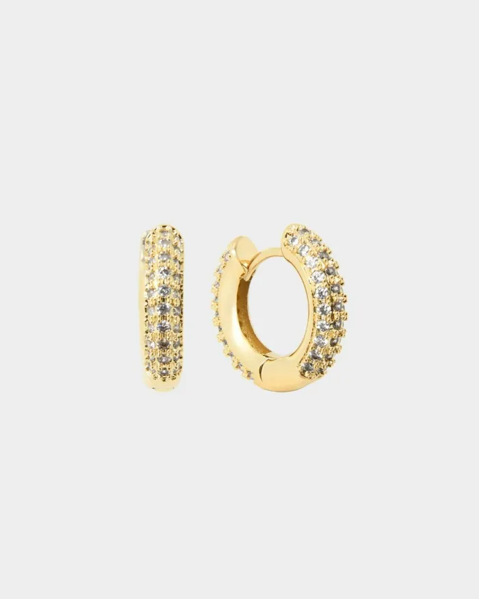 Forcast Daliah 16k Gold Plated Earring Goldsilver Women Earrings