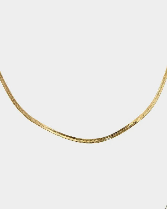 Forcast Ines 16k Gold 2pc Necklace Set Gold Women Necklaces