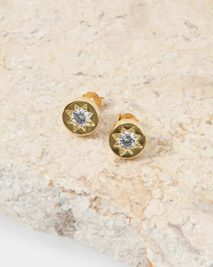 Forcast Miliana Gold Plated Earrings Rose Goldgoldsilver Women Earrings