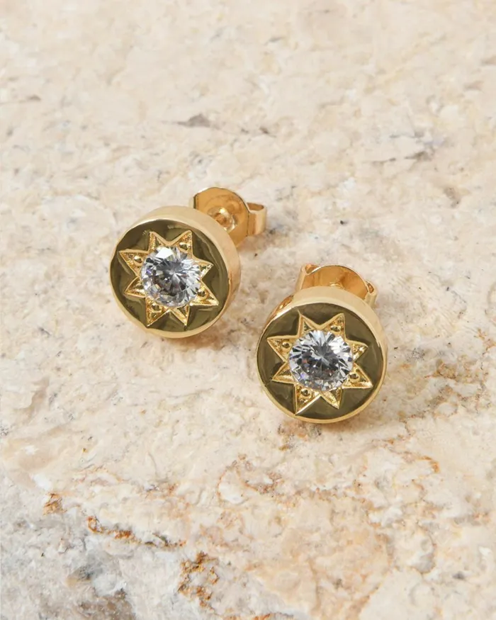 Forcast Miliana Gold Plated Earrings Rose Goldgoldsilver Women Earrings