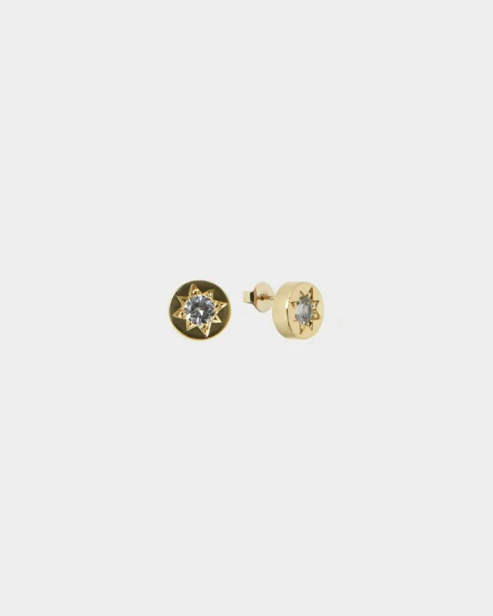 Forcast Miliana Gold Plated Earrings Rose Goldgoldsilver Women Earrings
