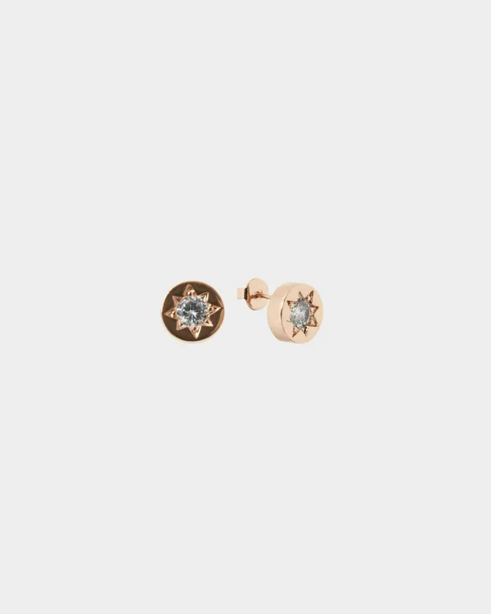 Forcast Miliana Rose Gold Earrings Rose Goldgoldsilver Women Earrings