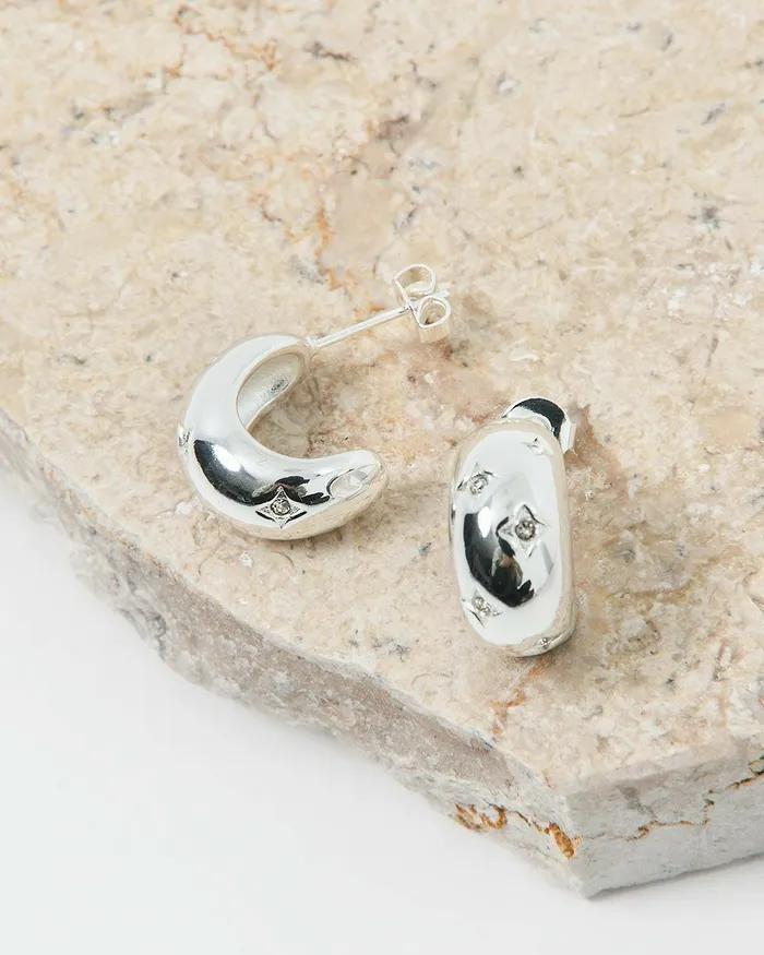 Forcast Nikitasilverplatedearring Metallic Women Earrings
