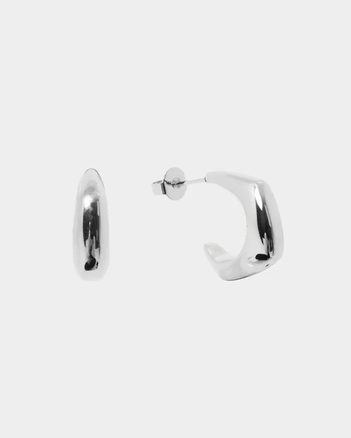 Forcast Sahana Silver Earrings Goldsilver Women Earrings
