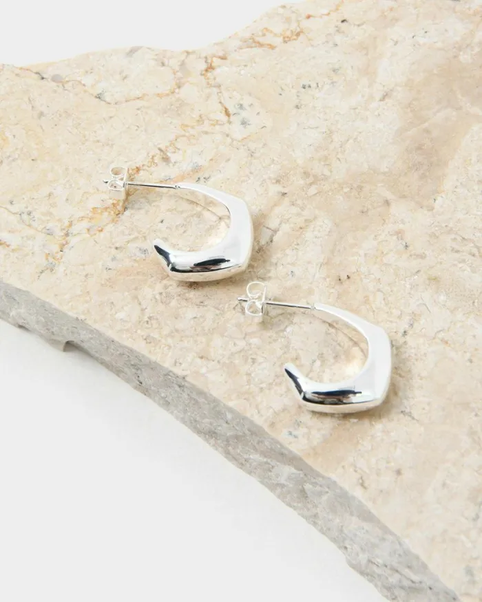 Forcast Sahana Silver Earrings Goldsilver Women Earrings