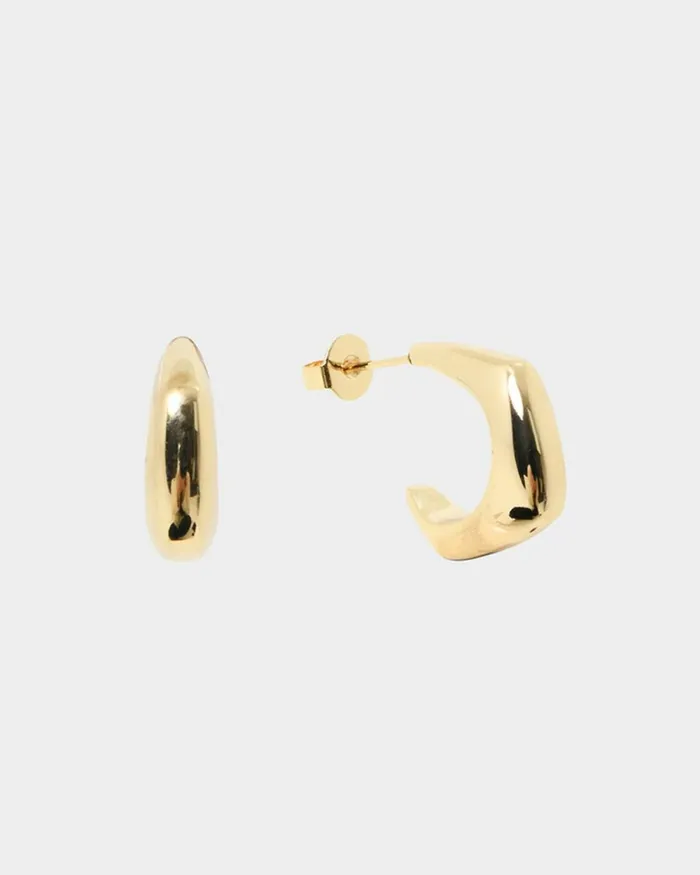 Forcast Sahana Silver Earrings Goldsilver Women Earrings
