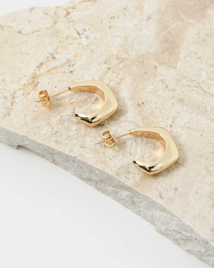 Forcast Sahana Silver Earrings Goldsilver Women Earrings