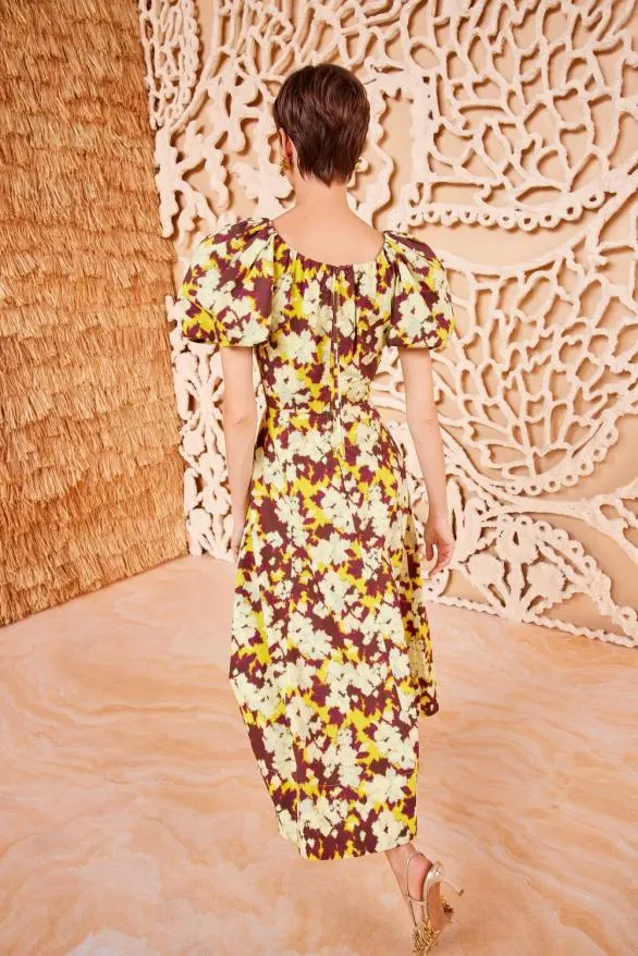 Imara Dress Acacia Women Ulla Johnson Dresses Imara Dress Acacia Women Ulla Johnson Dresses