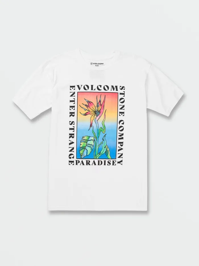 Mens TShirts and Tanks Volcom Strange Paradise Short Sleeve 8211 White
