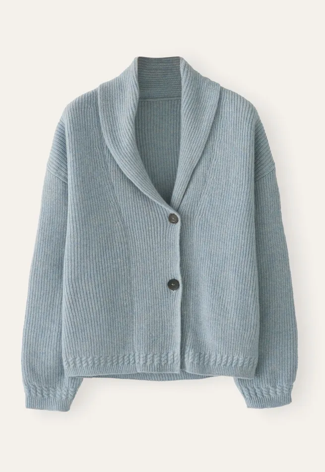 Poetry Fashion Cardigans Women Shawlcollar Cardigan Soft Blue