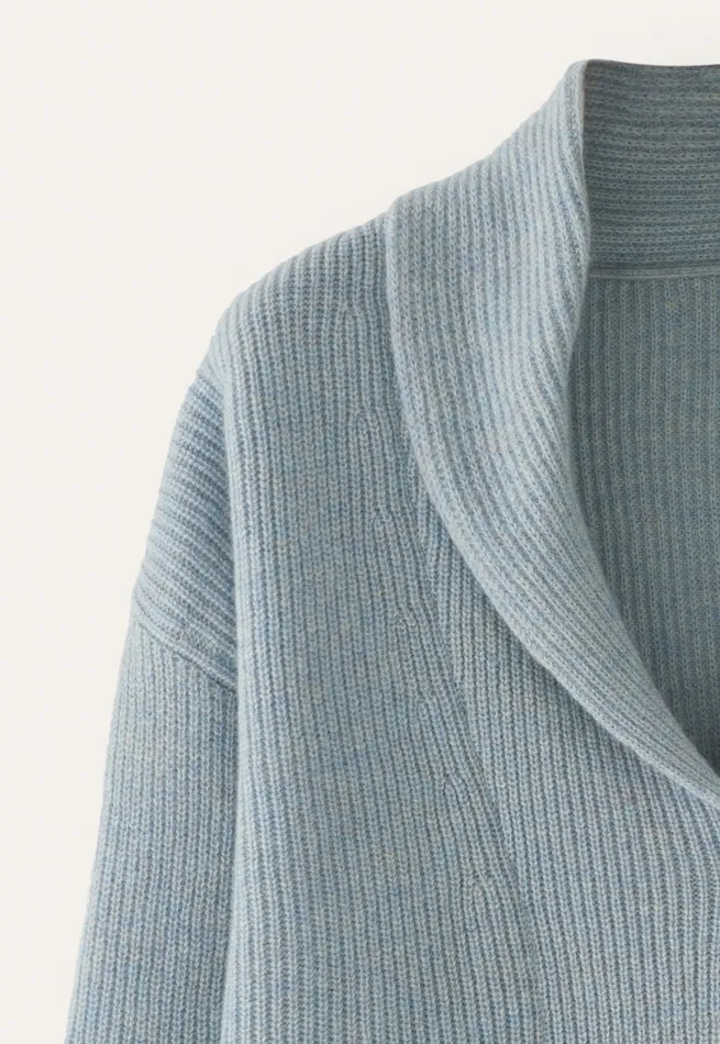 Poetry Fashion Cardigans Women Shawlcollar Cardigan Soft Blue
