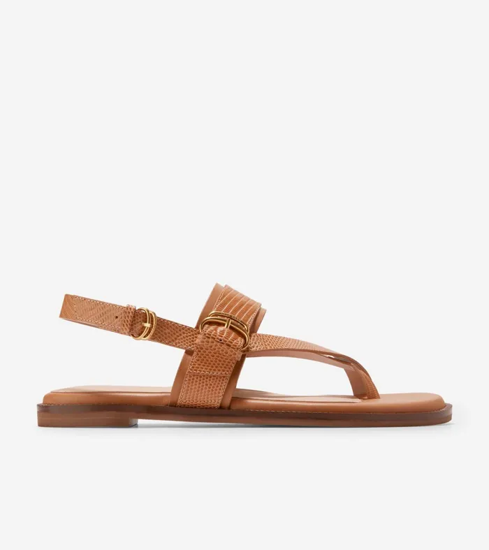 Women Anica Lux Buckle Sandals Pecan Brown Cole Haan Sandals