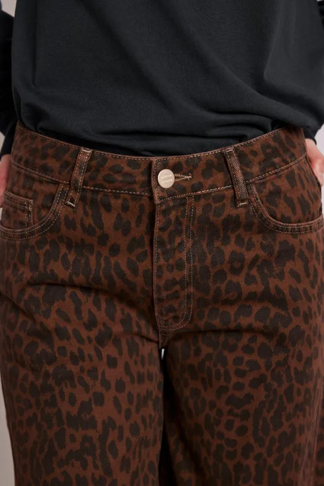 Women Damson Madder Coords Dion Jeans 8211 Dark Leopard Overdye