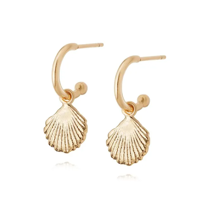 Women Drop Earrings Daisy London Jewellery Isla Shell Drop Earrings 18Ct Gold Plate Women Drop Earrings Daisy London Jewellery Isla Shell Drop Earrings 18Ct Gold Plate