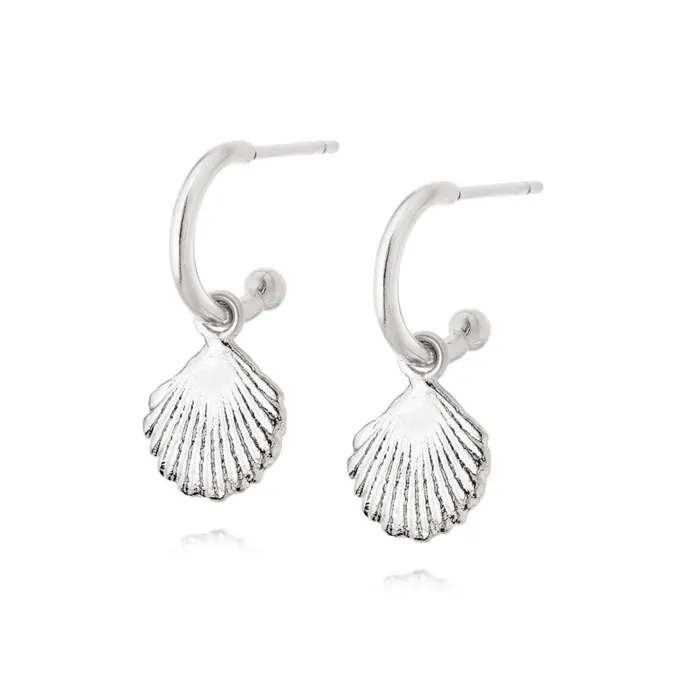 Women Drop Earrings Daisy London Jewellery Isla Shell Drop Earrings Sterling Silver Women Drop Earrings Daisy London Jewellery Isla Shell Drop Earrings Sterling Silver