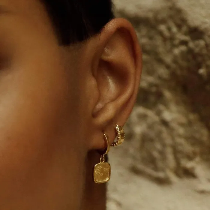 Women Drop Earrings Daisy London Jewellery Wild Daisies Drop Earrings 18ct Gold Plate