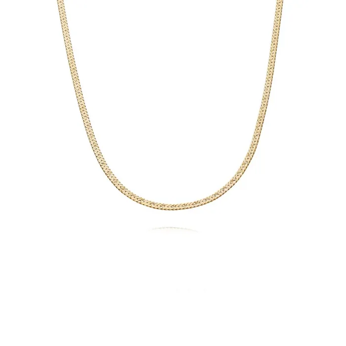 Women Este X Daisy Original Daisy London Jewellery Este Lalonde Short Snake Chain Necklace 18Ct Gold Plate Women Este X Daisy Original Daisy London Jewellery Este Lalonde Short Snake Chain Necklace 18Ct Gold Plate