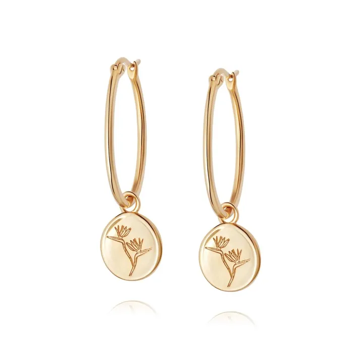 Women Hoop Earrings Daisy London Jewellery Bird Of Paradise Drop Earrings 18ct Gold Plate Women Hoop Earrings Daisy London Jewellery Bird Of Paradise Drop Earrings 18ct Gold Plate