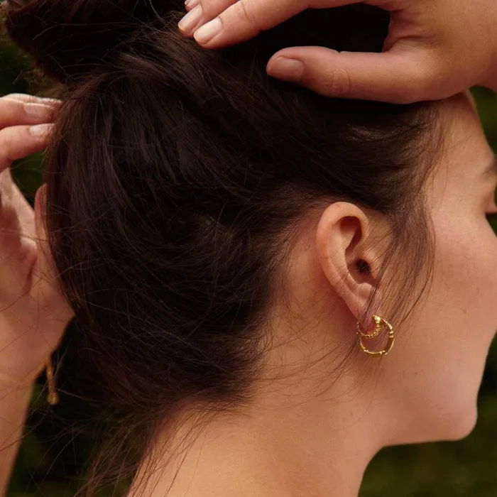 Women Hoop Earrings Daisy London Jewellery Stacked Chunky Midi Hoops 18Ct Gold Plate
