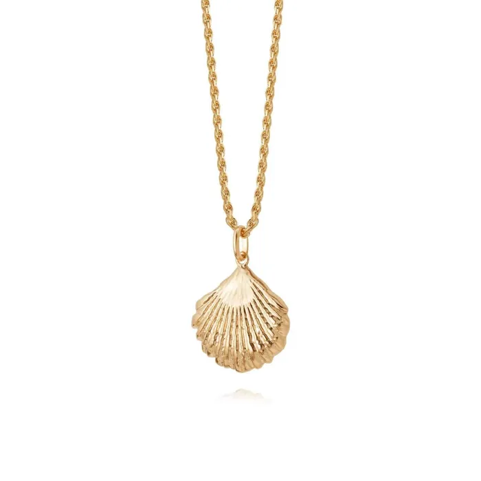 Women Pendant Necklaces Daisy London Jewellery Isla Large Shell Necklace 18Ct Gold Plate Women Pendant Necklaces Daisy London Jewellery Isla Large Shell Necklace 18Ct Gold Plate