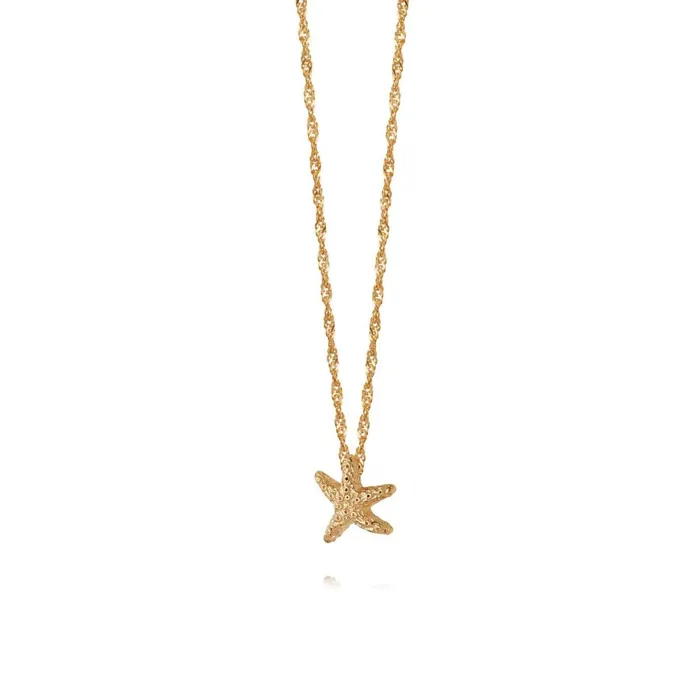 Women Pendant Necklaces Daisy London Jewellery Isla Starfish Chain Necklace 18Ct Gold Plate Women Pendant Necklaces Daisy London Jewellery Isla Starfish Chain Necklace 18Ct Gold Plate