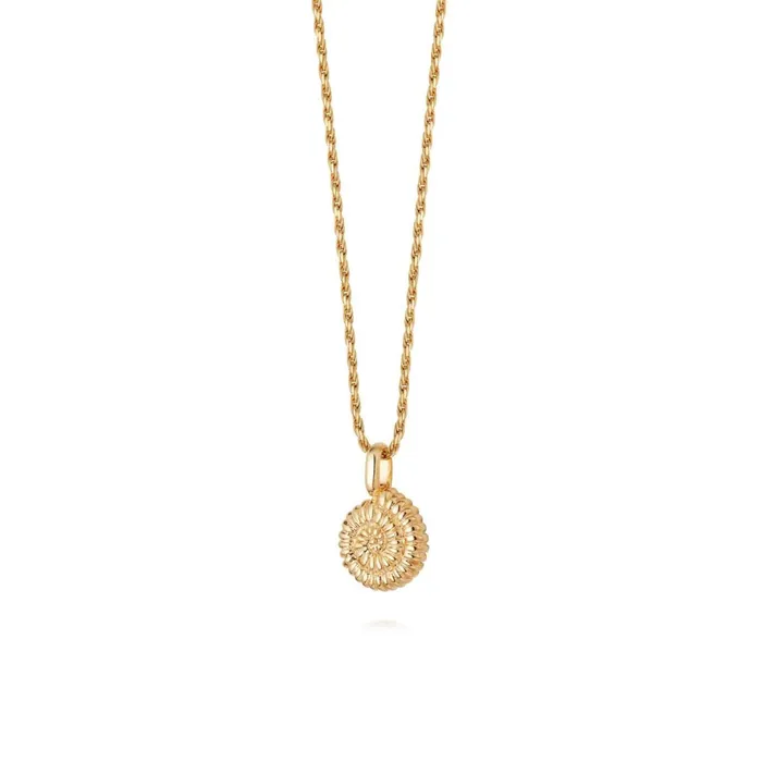 Women Pendant Necklaces Daisy London Jewellery Isla Sundial Shell Necklace 18Ct Gold Plate Women Pendant Necklaces Daisy London Jewellery Isla Sundial Shell Necklace 18Ct Gold Plate