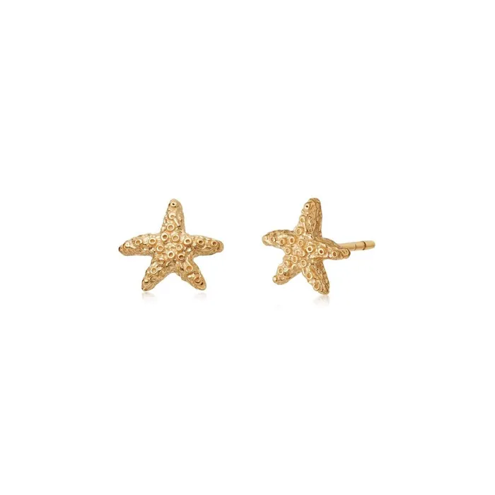 Women Stud Earrings Daisy London Jewellery Isla Starfish Stud Earrings 18Ct Gold Plate Women Stud Earrings Daisy London Jewellery Isla Starfish Stud Earrings 18Ct Gold Plate