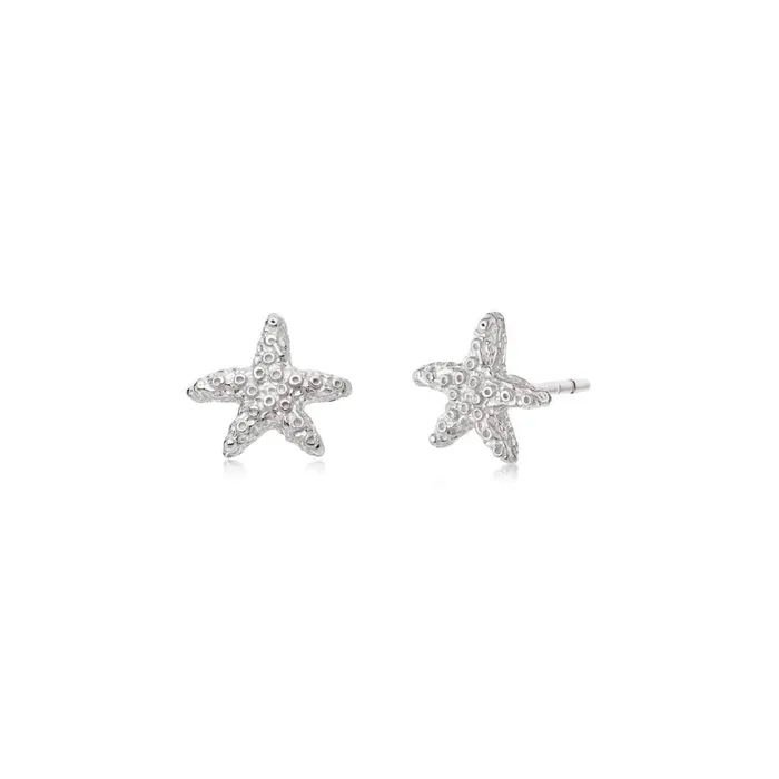 Women Stud Earrings Daisy London Jewellery Isla Starfish Stud Earrings Sterling Silver Women Stud Earrings Daisy London Jewellery Isla Starfish Stud Earrings Sterling Silver