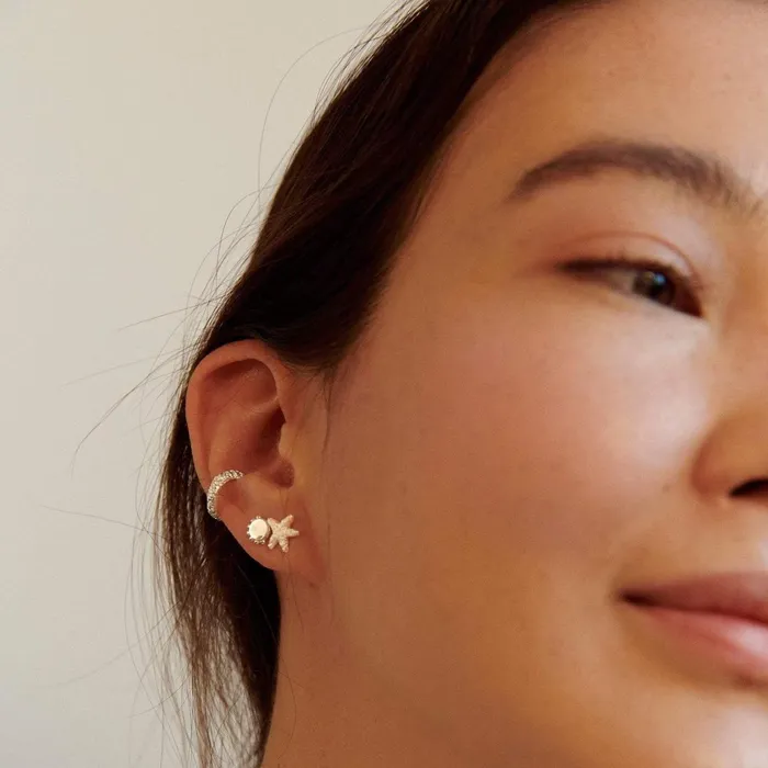Women Stud Earrings Daisy London Jewellery Isla Starfish Stud Earrings Sterling Silver